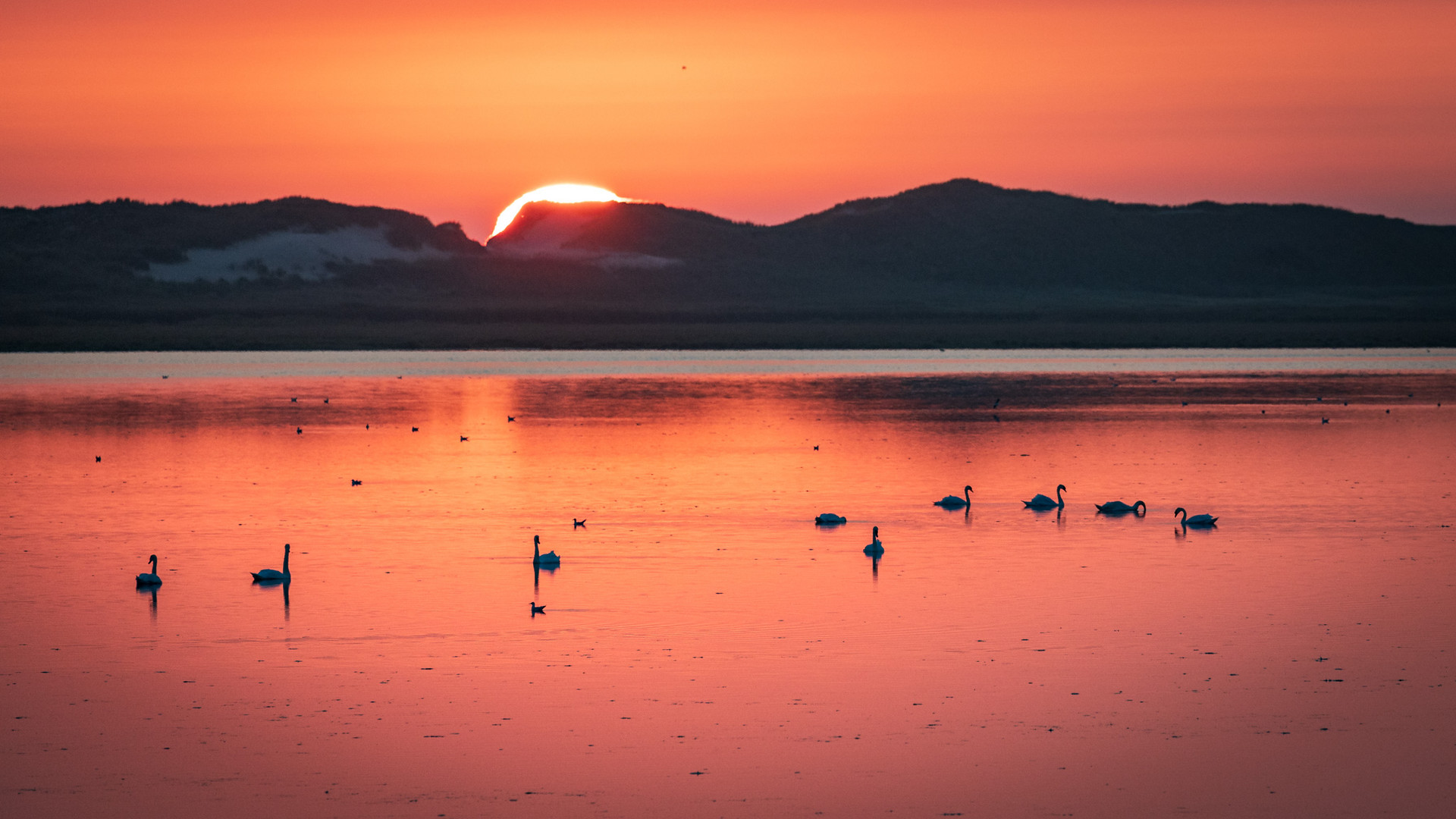 Sonnenuntergang im Nationalpark Thy