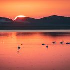 Sonnenuntergang im Nationalpark Thy