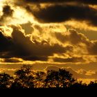 Sonnenuntergang im Nationalpark "Vorpommersche Boddenlandschaft"