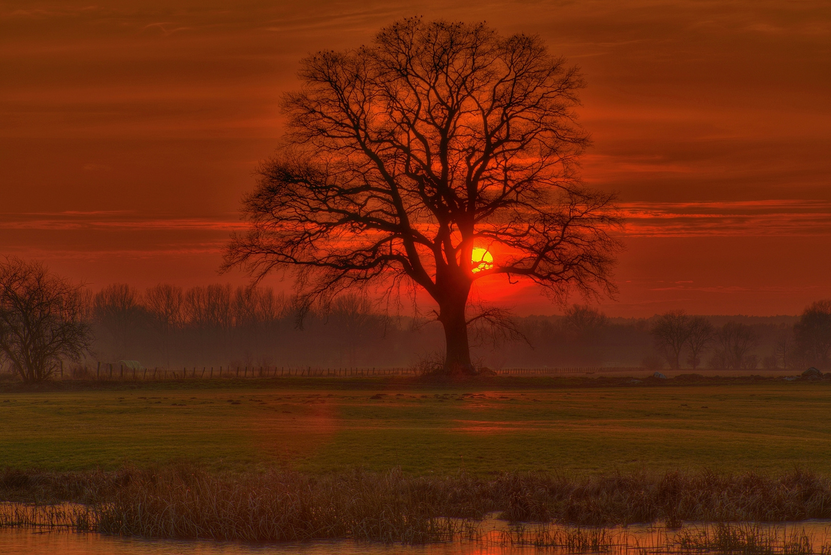 Sonnenuntergang im Naturpark Elbtalauen