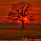 Sonnenuntergang im Naturpark Elbtalauen