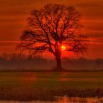 Sonnenuntergang im Naturpark Elbtalauen