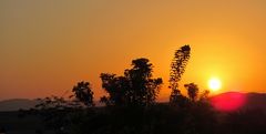 Sonnenuntergang im Naturpark von Wadi El Gemal