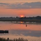 Sonnenuntergang im Naturschutzgebiet 2