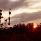 Sonnenuntergang im Naturschutzgebiet