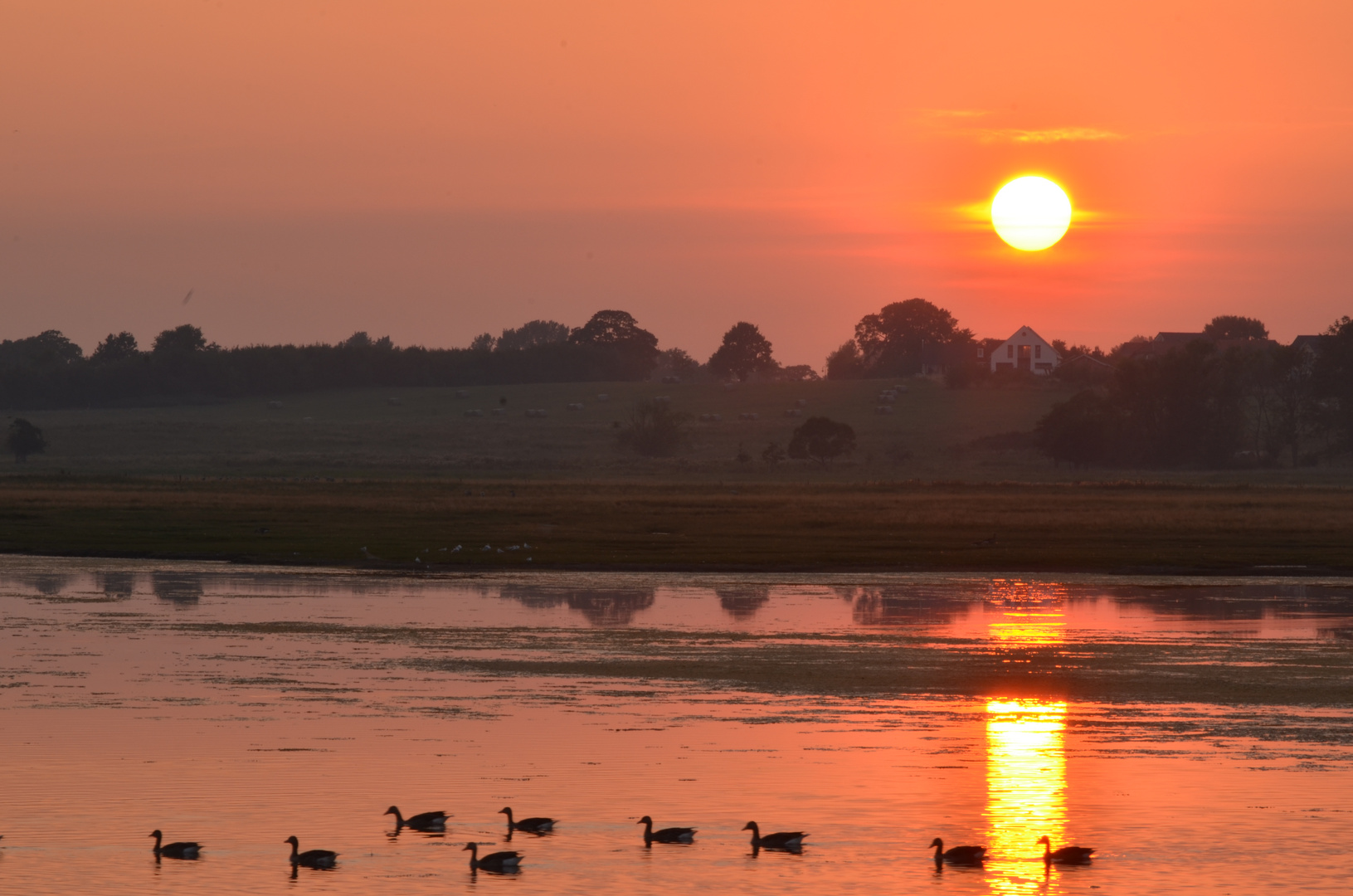 Sonnenuntergang im Naturschutzgebiet