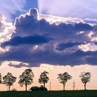 Sonnenuntergang im Naturschutzgebiet Birken- Mittelmeß Mittelmess