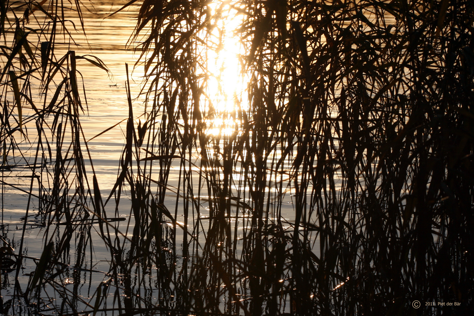 Sonnenuntergang im Naturschutzgebiet Heuckenlock in Hamburg