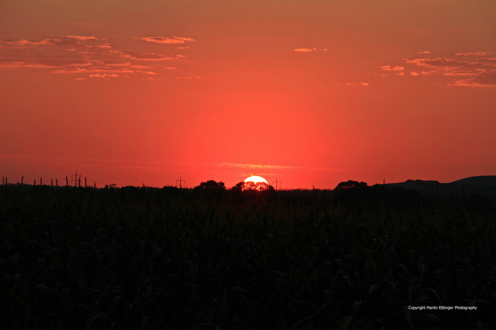 Sonnenuntergang im Naturschutzgebiet Karower Teiche in Berlin 21082015