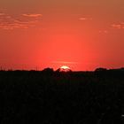 Sonnenuntergang im Naturschutzgebiet Karower Teiche in Berlin 21082015