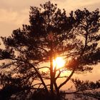 Sonnenuntergang im Naturschutzgebiet Silberberg