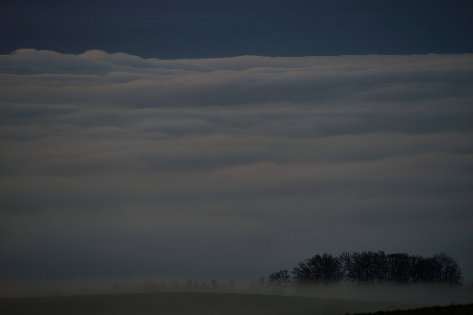 Sonnenuntergang im Nebel 1