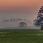 Sonnenuntergang  im Nebel