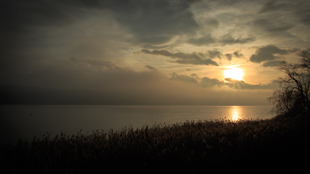 Sonnenuntergang im Nebel