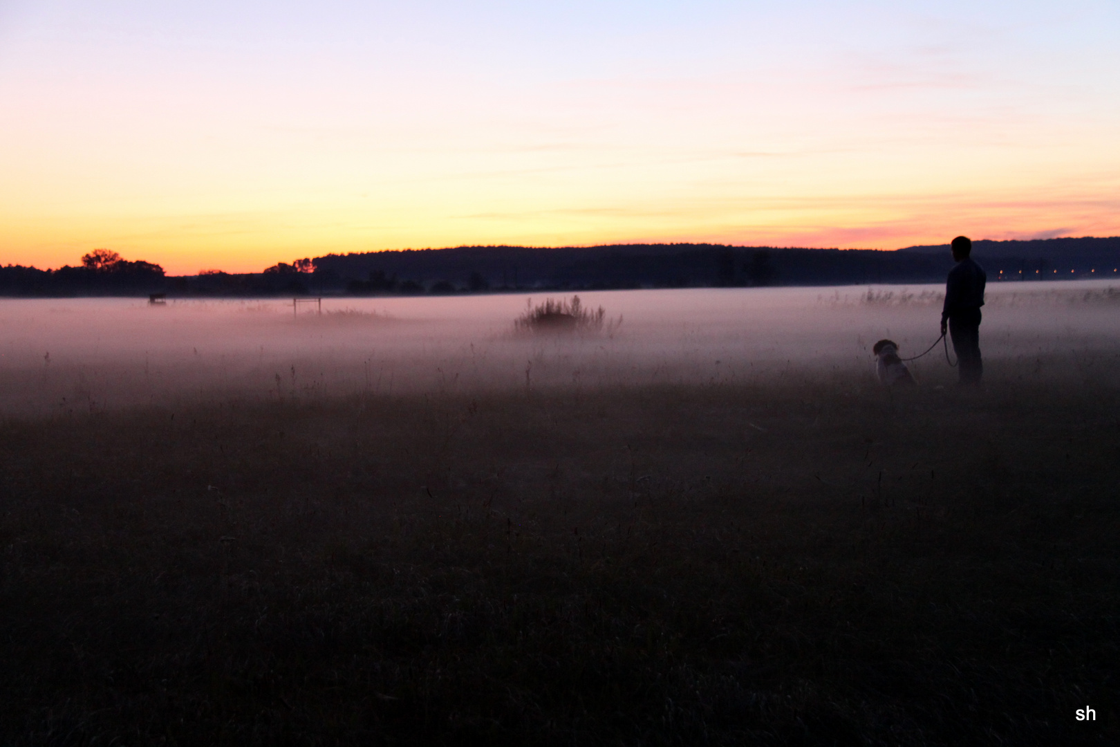 Sonnenuntergang im Nebel