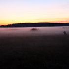 Sonnenuntergang im Nebel