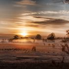 Sonnenuntergang im Nebel