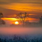 Sonnenuntergang im Nebel