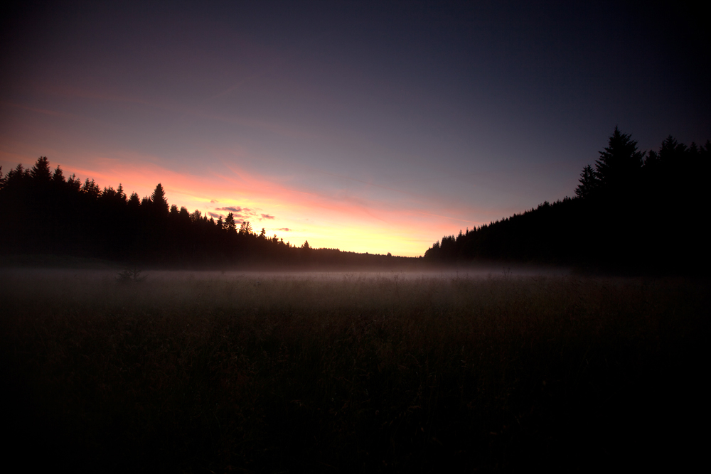 Sonnenuntergang im Nebel von blickkult 