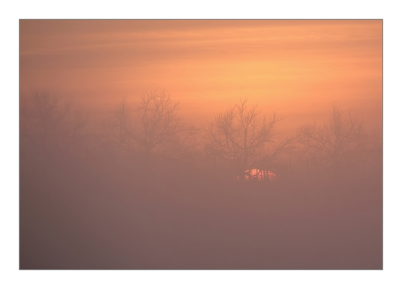 Sonnenuntergang im Nebel