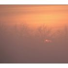 Sonnenuntergang im Nebel