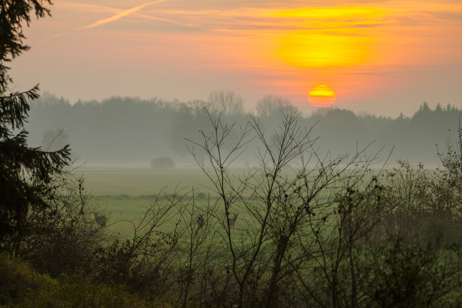 Sonnenuntergang im Nebel