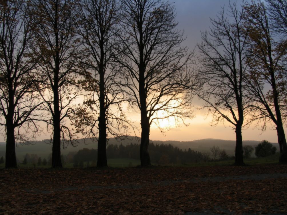 Sonnenuntergang im Nebel