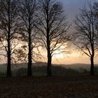 Sonnenuntergang im Nebel