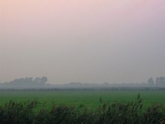 Sonnenuntergang im Nebel