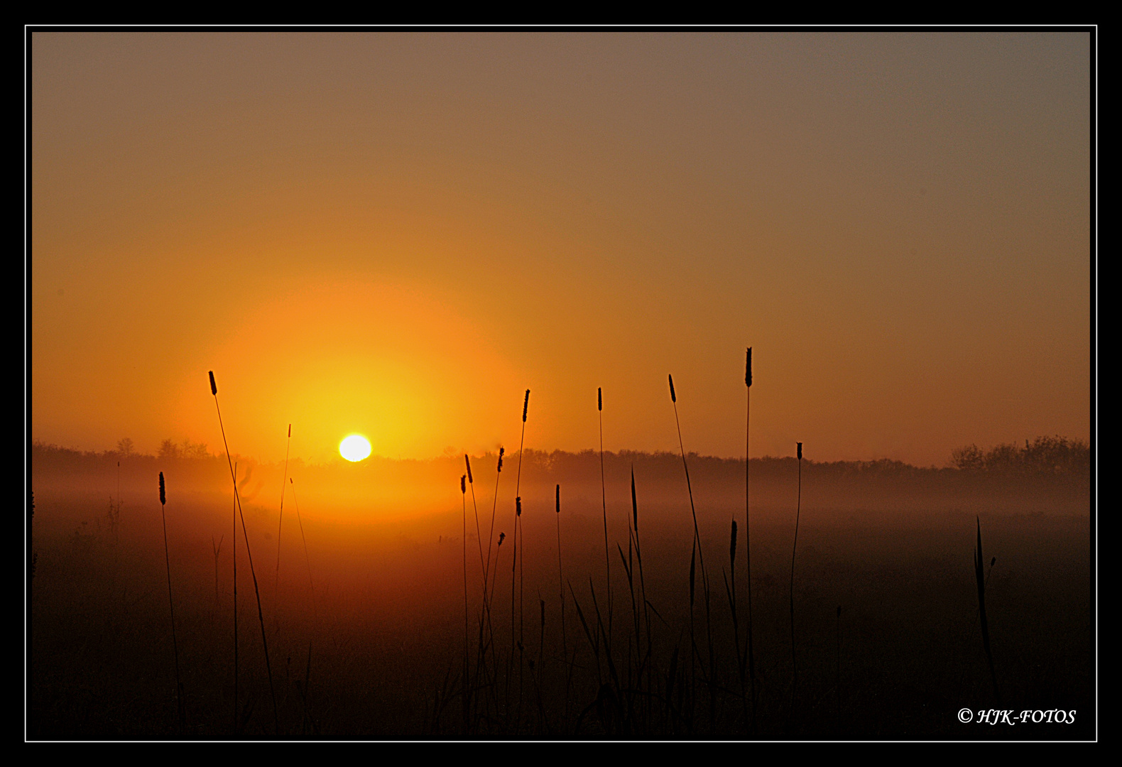 Sonnenuntergang im Nebel