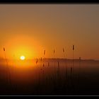 Sonnenuntergang im Nebel