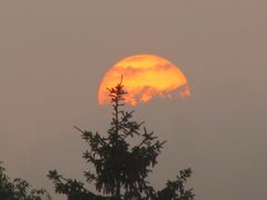 Sonnenuntergang im Nebel