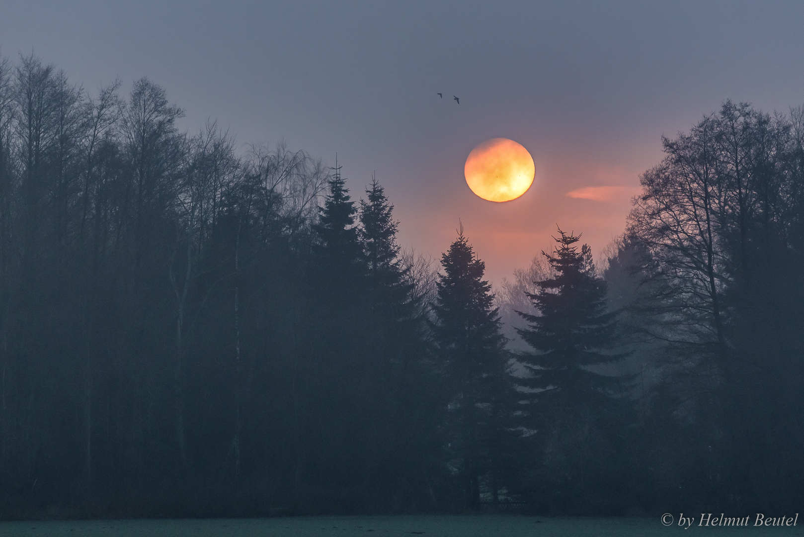 Sonnenuntergang im Nebel