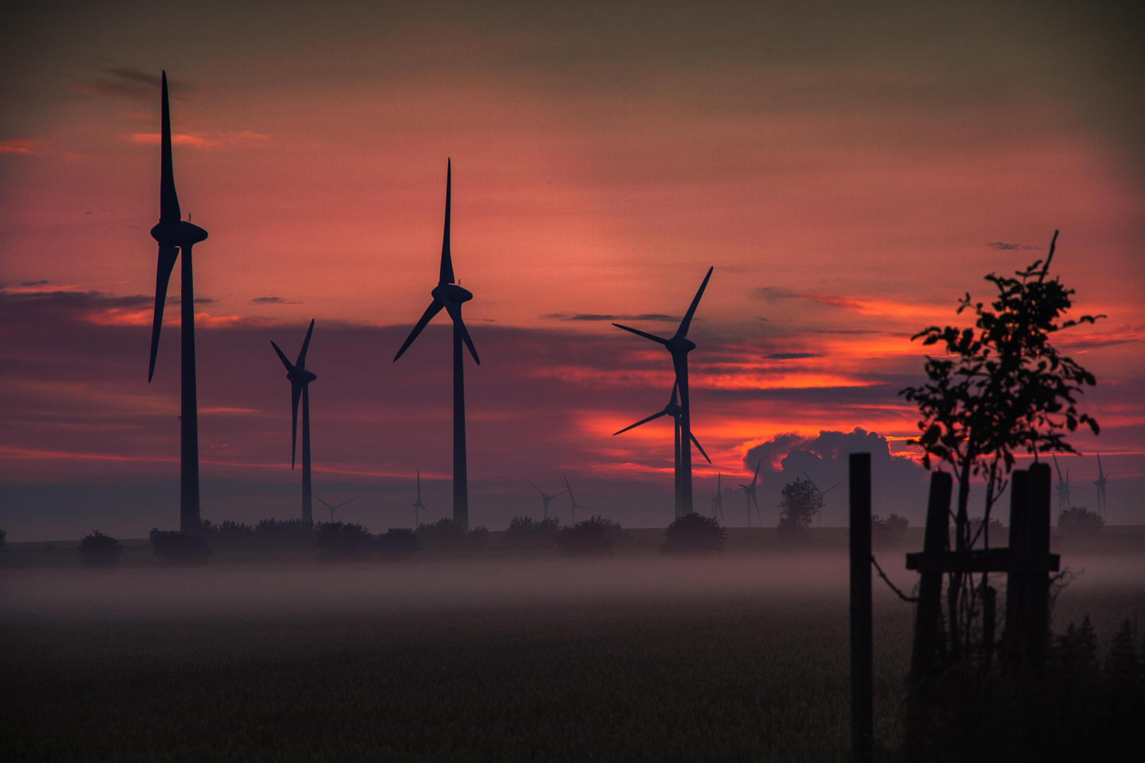 Sonnenuntergang im Nebel