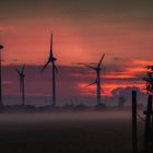 Sonnenuntergang im Nebel