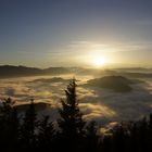 Sonnenuntergang im Nebelsee