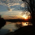 Sonnenuntergang im Neckar 