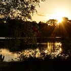 Sonnenuntergang im Neuen Garten