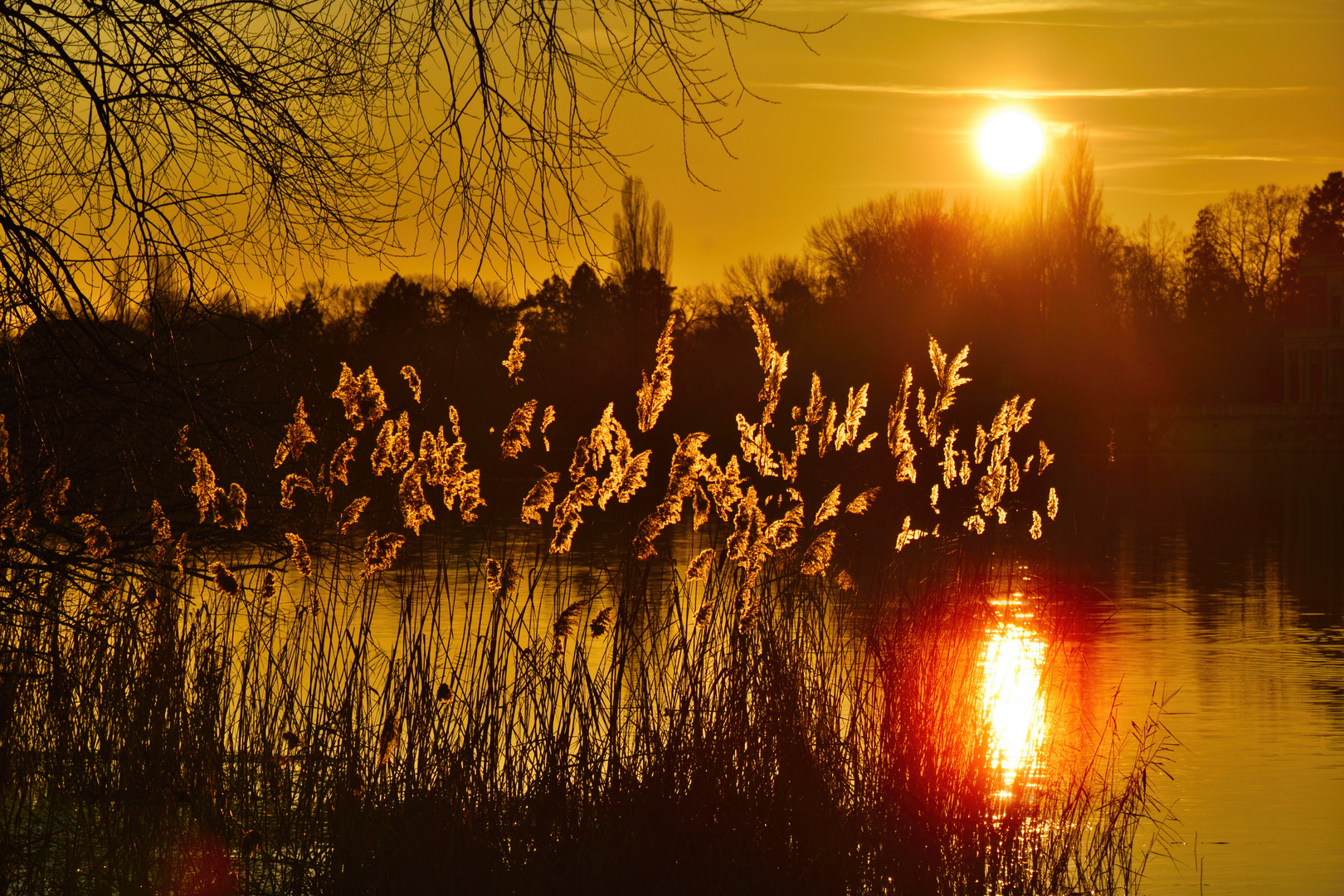 Sonnenuntergang im Neuen Garten 2