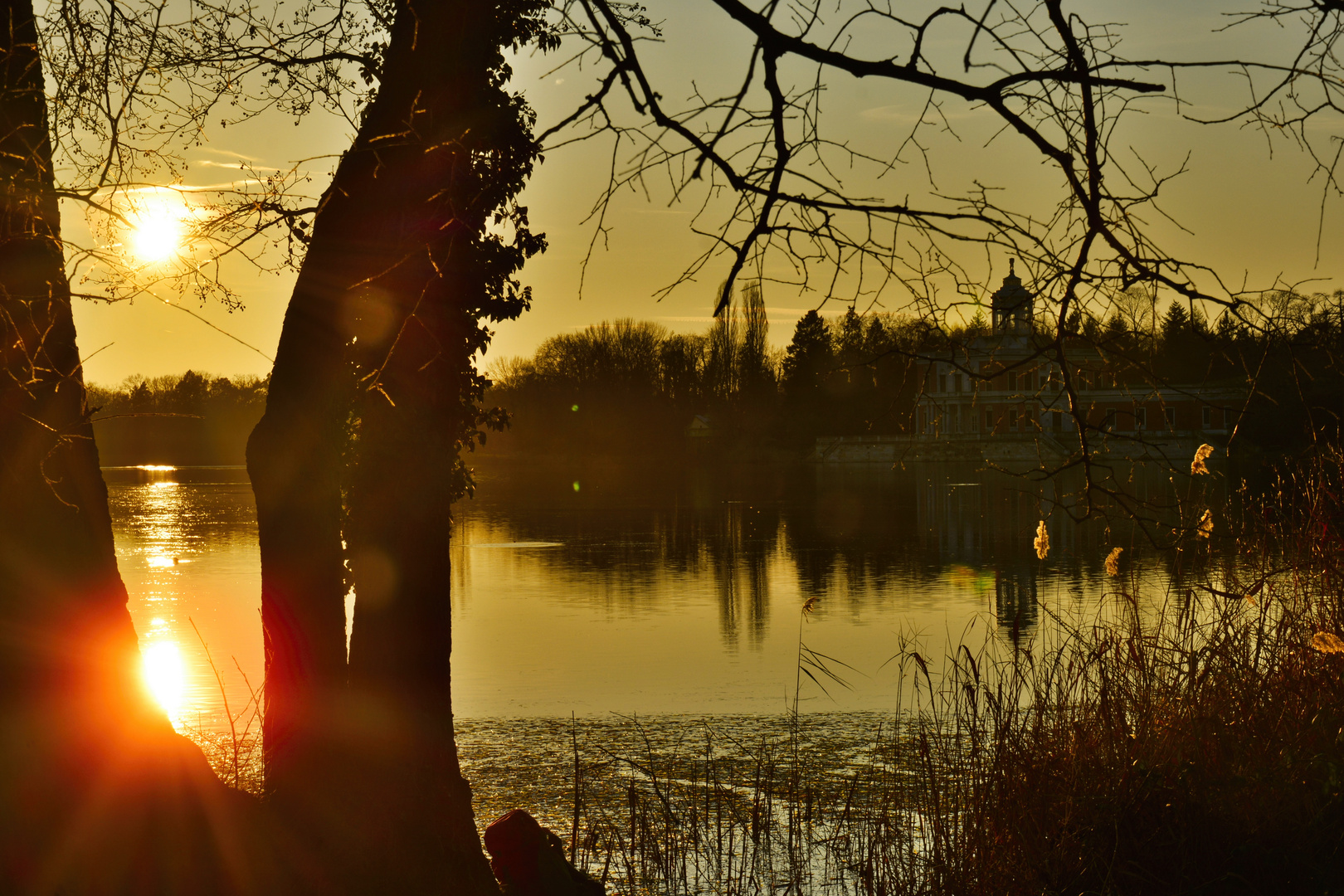 Sonnenuntergang im Neuen Garten