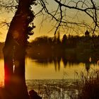 Sonnenuntergang im Neuen Garten