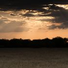 Sonnenuntergang im Ngorongorokrater