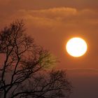 Sonnenuntergang im Norddeutschen Flachland