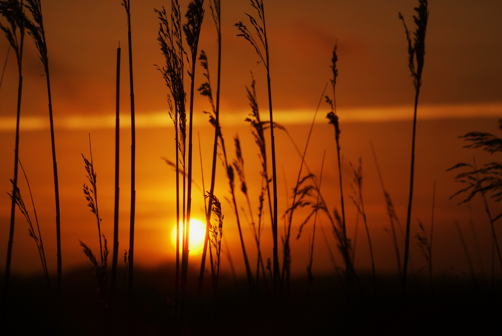 Sonnenuntergang im Norden