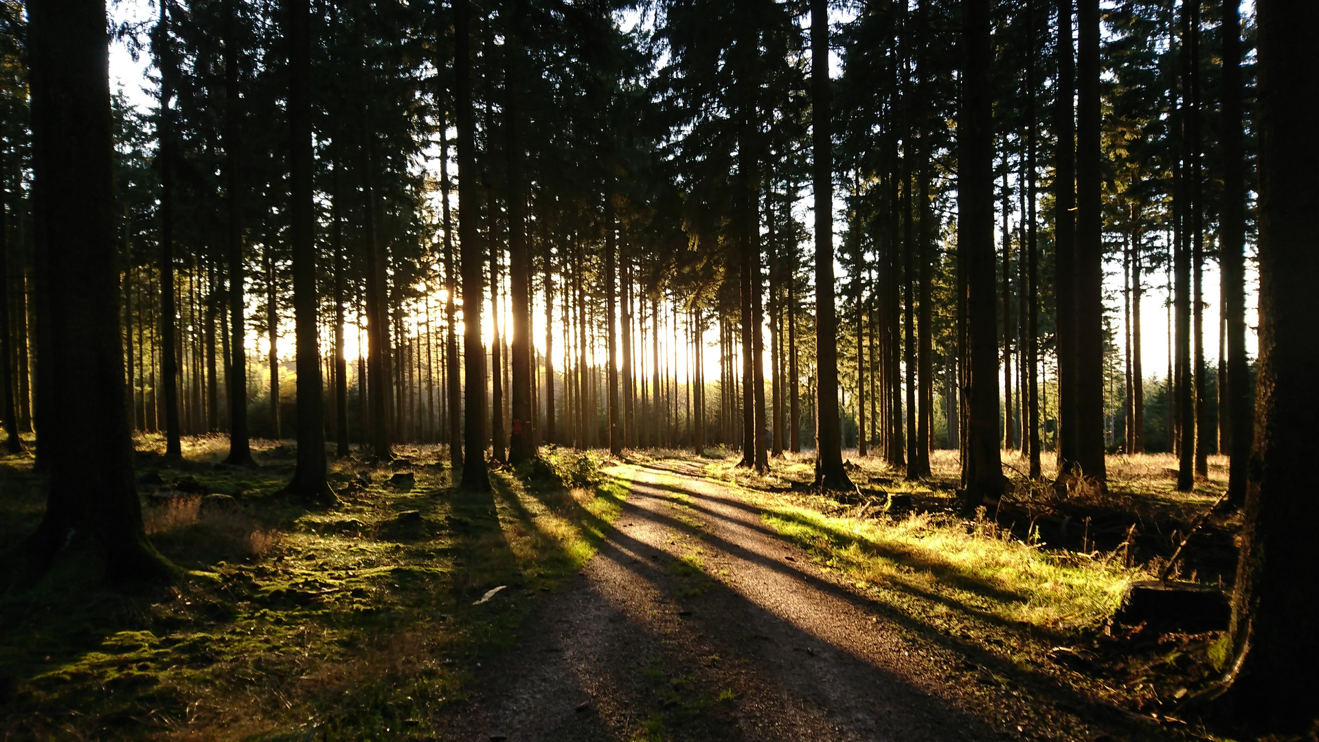 Sonnenuntergang im November 