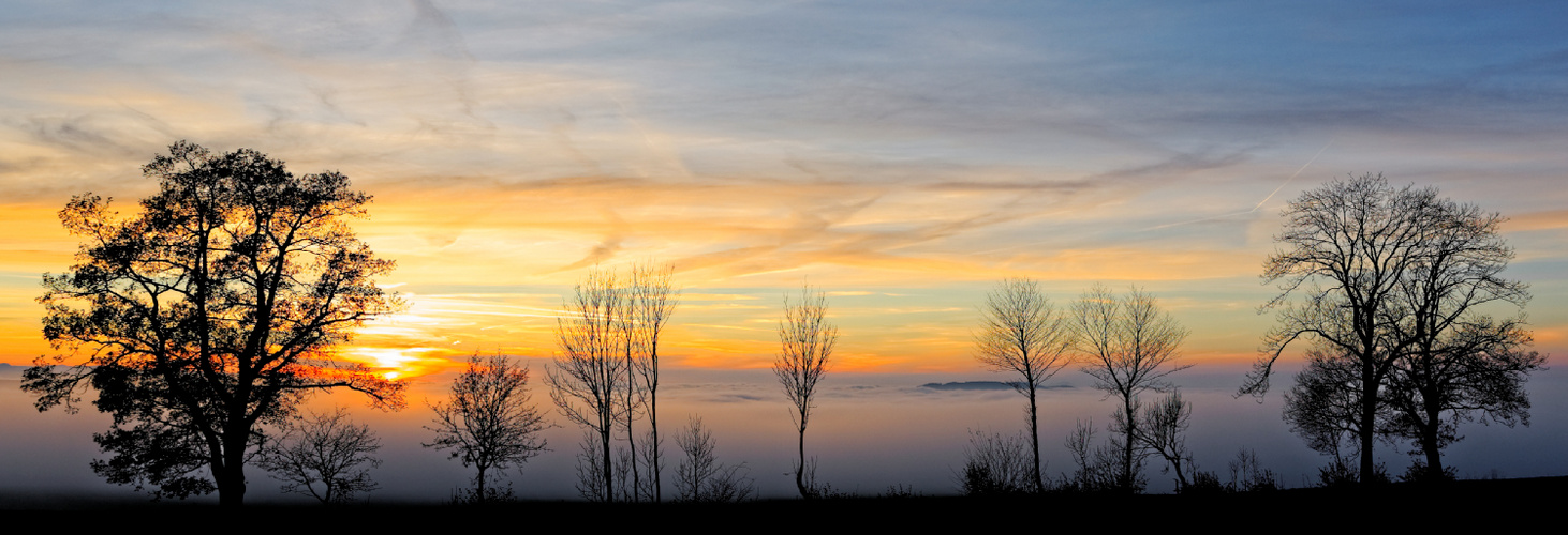 [ Sonnenuntergang im November ]