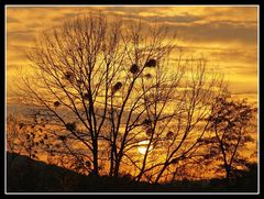 Sonnenuntergang im November