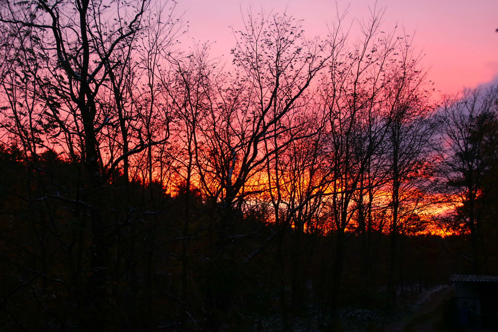 Sonnenuntergang im November