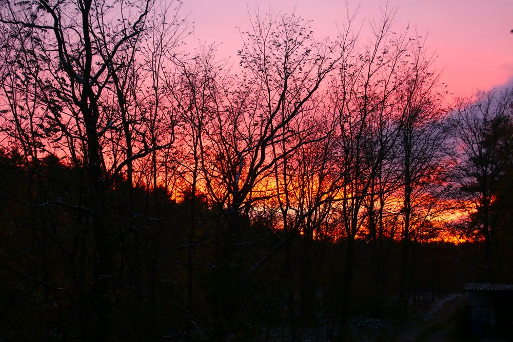 Sonnenuntergang im November