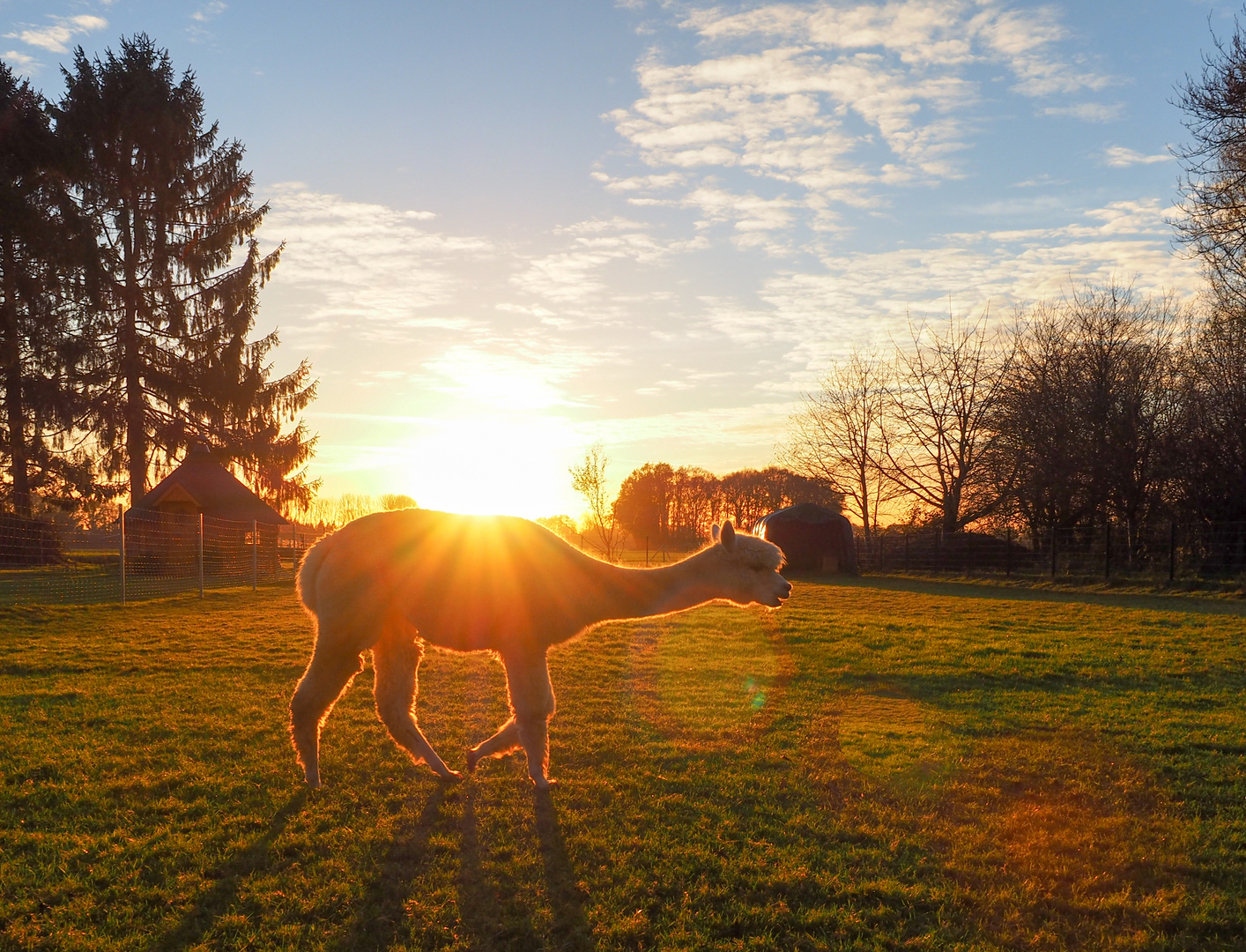 Sonnenuntergang im November